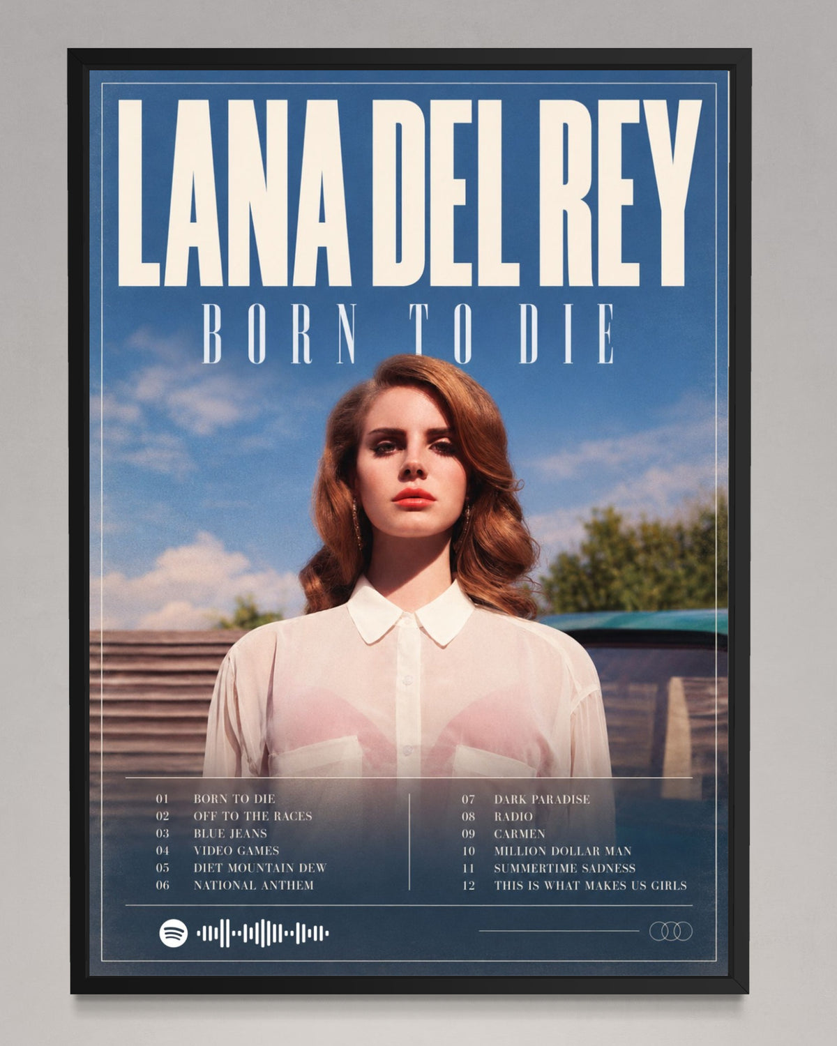 Born to Die - Lana Del Rey Inspired Album Poster - USA